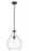 1 Light Pendant | 496P13-MB