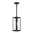 Ryle One-light Outdoor Pendant Light With Clear Glass Panels | P550146-31M