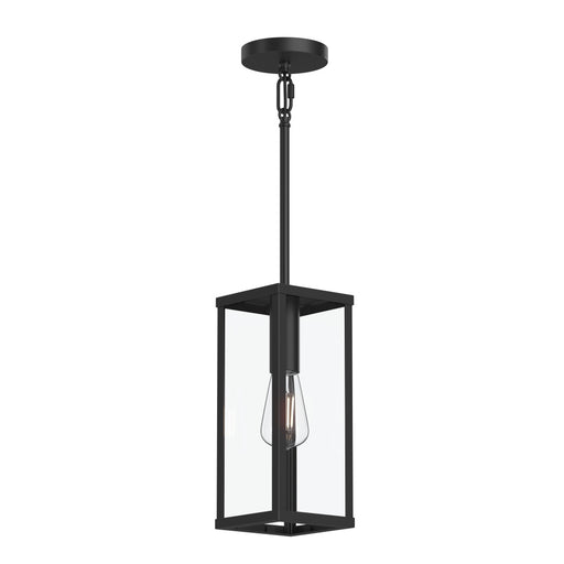 Ryle One-light Outdoor Pendant Light With Clear Glass Panels | P550146-31M