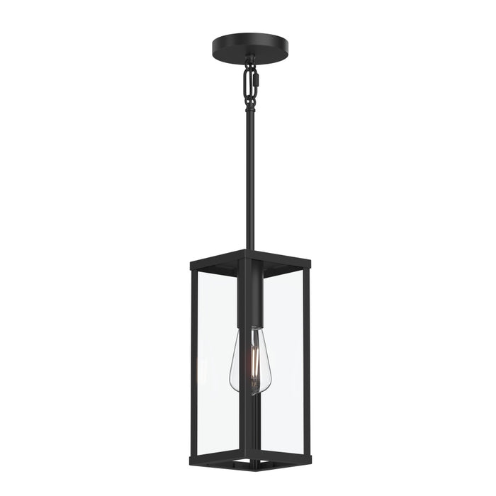 Ryle One-light Outdoor Pendant Light With Clear Glass Panels | P550146-31M