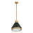 1 Light Pendant Light / Luminaire Suspendu 1 Light | 207398A