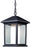 1 Light Outdoor Chain Mount Ceiling Fixture | 523CHB