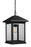 1 Light Outdoor Chain Mount Ceiling Fixture | 531CHB-BK