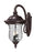 3 Light Outdoor Wall Light | 534B-RBRZ