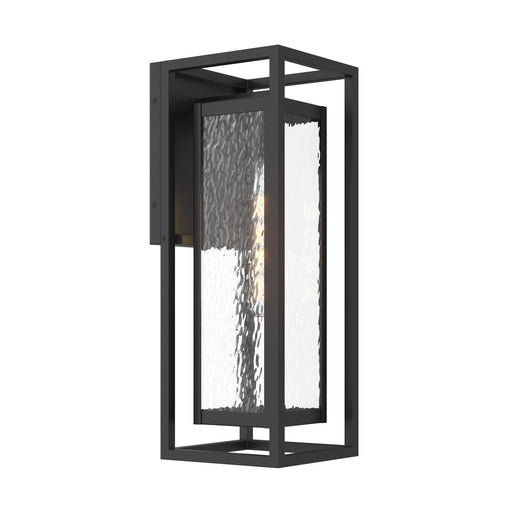Shaw 19.5 Inch 1 Light Outdoor Wall Light With Clear Glass | P560411-031