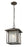 1 Light Outdoor Chain Mount Ceiling Fixture | 554CHB-ORB