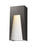 1 Light Outdoor Wall Light | 561M-DBZ-SL-FRB-LED