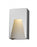 1 Light Outdoor Wall Light | 561S-SL-SL-FRB-LED