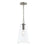 Jheni One-light Pendant With Clear Glass Shade | P500511-009