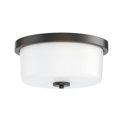 Fuller- Flush Mount | 5691WTBK