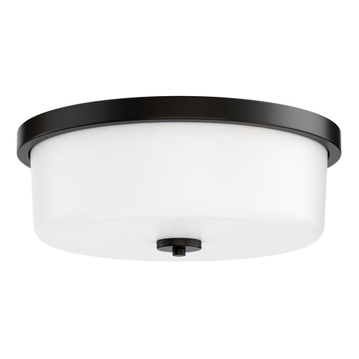 Fuller- Flush Mount | 5693WTBK