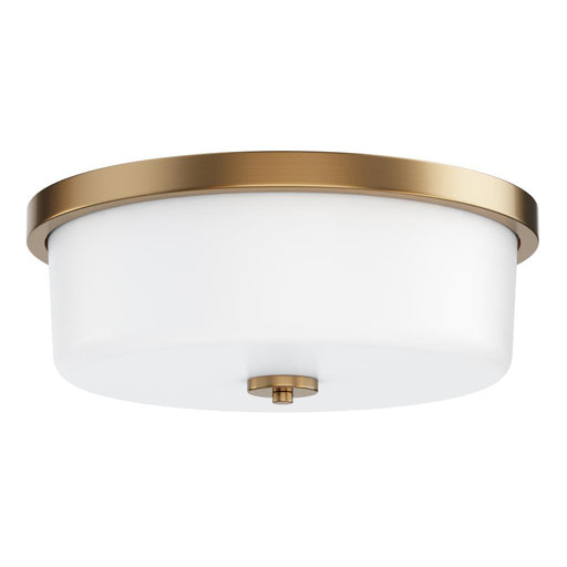 Fuller- Flush Mount | 5693WTNAB