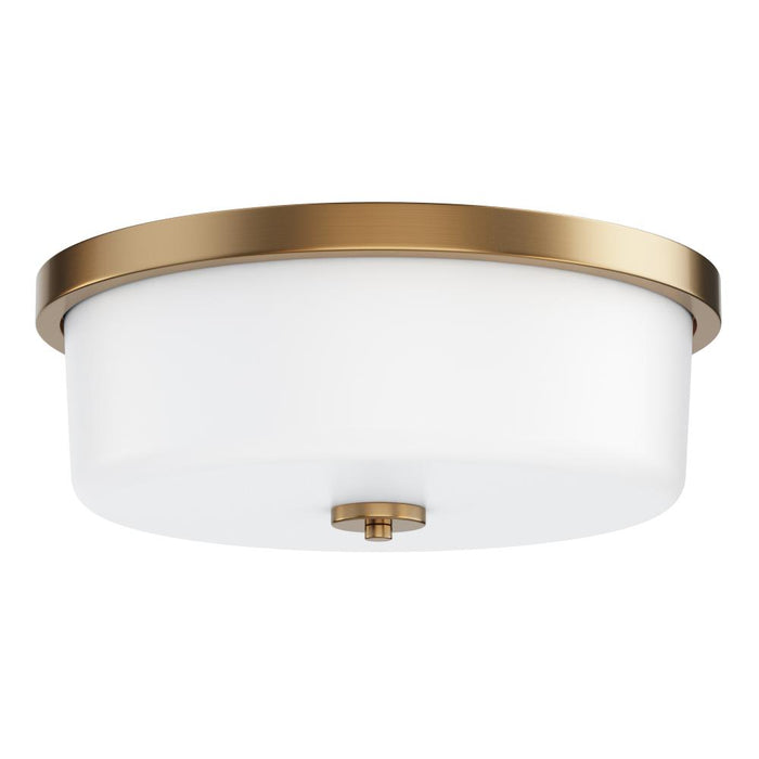 Fuller- Flush Mount | 5693WTNAB