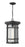 1 Light Outdoor Chain Mount Ceiling Fixture | 570CHXL-BK