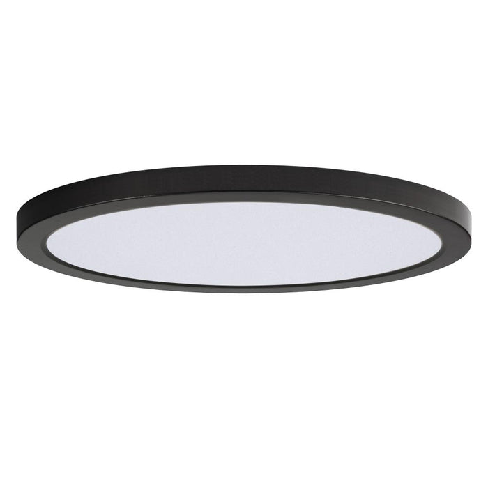 Chip- Flush Mount | 57598WTBK