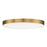 Trim- Flush Mount | 57663WTSBR