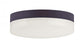 Illuminaire Ii-flush Mount | 57682CLFTBZ