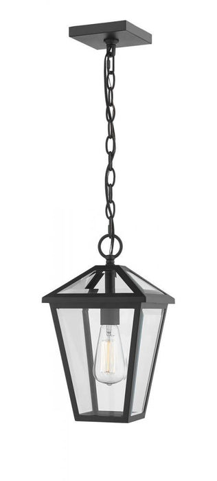1 Light Outdoor Chain Mount Ceiling Fixture | 579CHM-BK