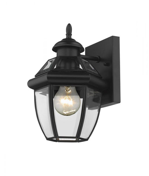 1 Light Outdoor Wall Light | 580XS-BK