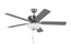 Linden 52" Ceiling Fan | 5LDDC52BSD