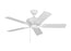 Linden 44" Ceiling Fan | 5LDO44RZW