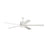 Vision 72" Ceiling Fan | 5VMR72RZWD