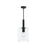 Reines One-light Pendant With Clear Glass Shade | P500509-31M