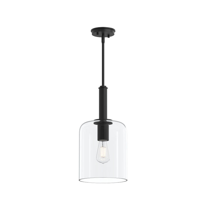 Reines One-light Pendant With Clear Glass Shade | P500509-31M