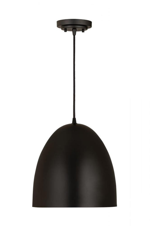 1 Light Pendant | 6012P12-SBK