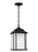 Generation Lighting Kent traditional 1-light outdoor exterior ceiling hanging pendant in black finish with satin etched