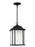 Kent One Light Outdoor Pendant | 60531-12