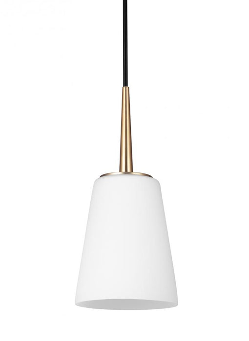 Driscoll One Light Mini-pendant | 6140401-848