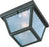 Outdoor Essentials - 620x-outdoor Flush Mount | 6203FTBK