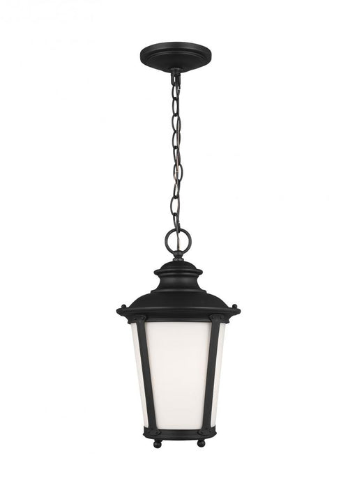 Generation Lighting Cape May traditional 1-light outdoor exterior hanging ceiling pendant in black finish with etched wh