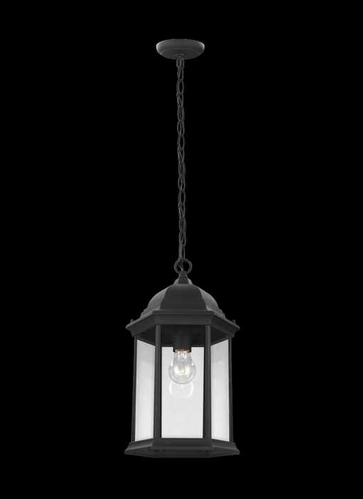 Sevier One Light Outdoor Pendant | 6238701-12
