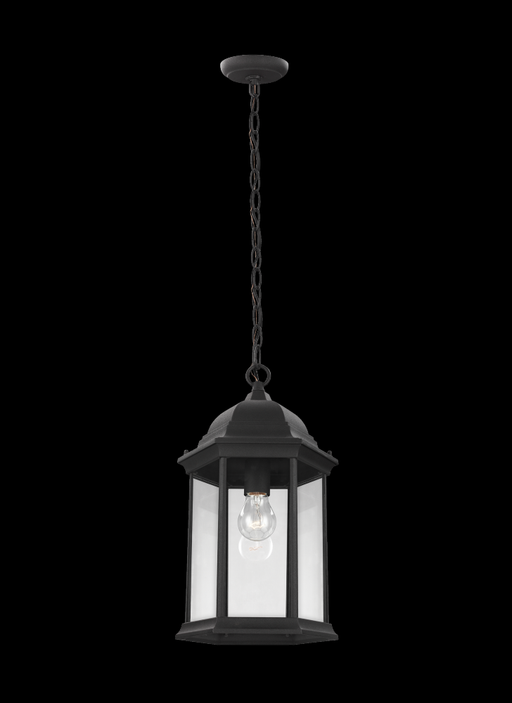Sevier One Light Outdoor Pendant | 6238701-12
