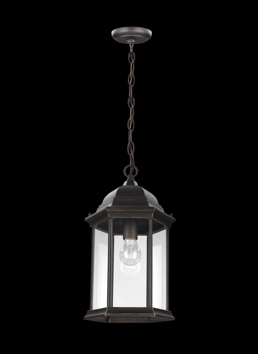 Sevier One Light Outdoor Pendant | 6238701-71