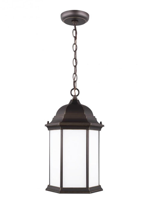 Sevier One Light Outdoor Pendant | 6238751-71