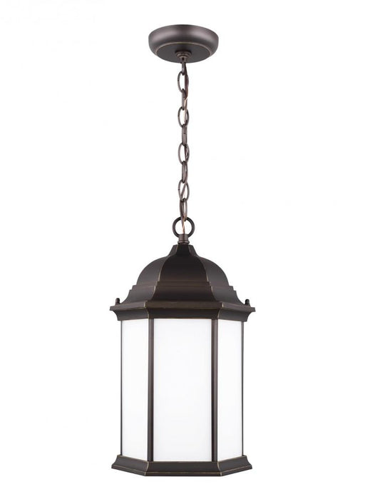 Sevier One Light Outdoor Pendant | 6238751-71