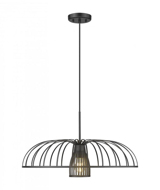 1 Light Pendant | 623P24-MB