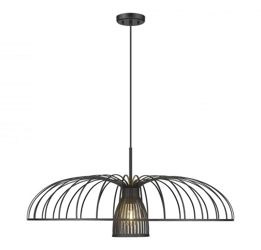1 Light Pendant | 623P35-MB