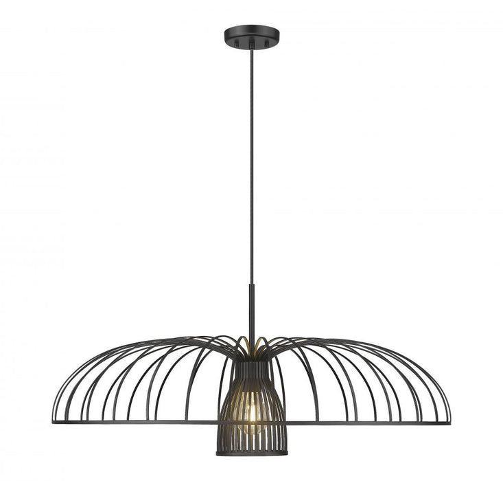 1 Light Pendant | 623P35-MB