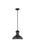 Generation Lighting Fredricksburg traditional 1-light outdoor exterior Dark Sky compliant ceiling hanging pendant in bla