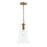 Jheni One-light Pendant With Clear Glass Shade | P500511-191