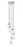 5 Light Chandelier | 651P-5R-BN