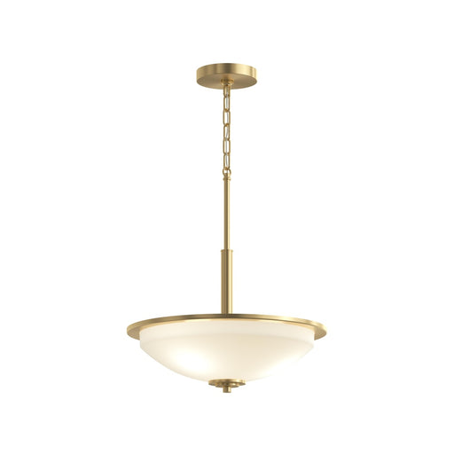 P3450-191 3-100w Med Inv Pendant | P3450-191