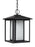 Generation Lighting Hunnington contemporary 1-light outdoor exterior pendant in black finish with etched seeded glass pa