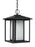 Generation Lighting Hunnington contemporary 1-light LED outdoor exterior pendant in black finish with etched seeded glas