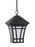 Generation Lighting Herrington transitional 1-light outdoor exterior hanging ceiling pendant in black finish with etched