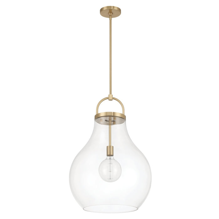 1 Light Pendant Light / Luminaire Suspendu 1 Light | 207648A